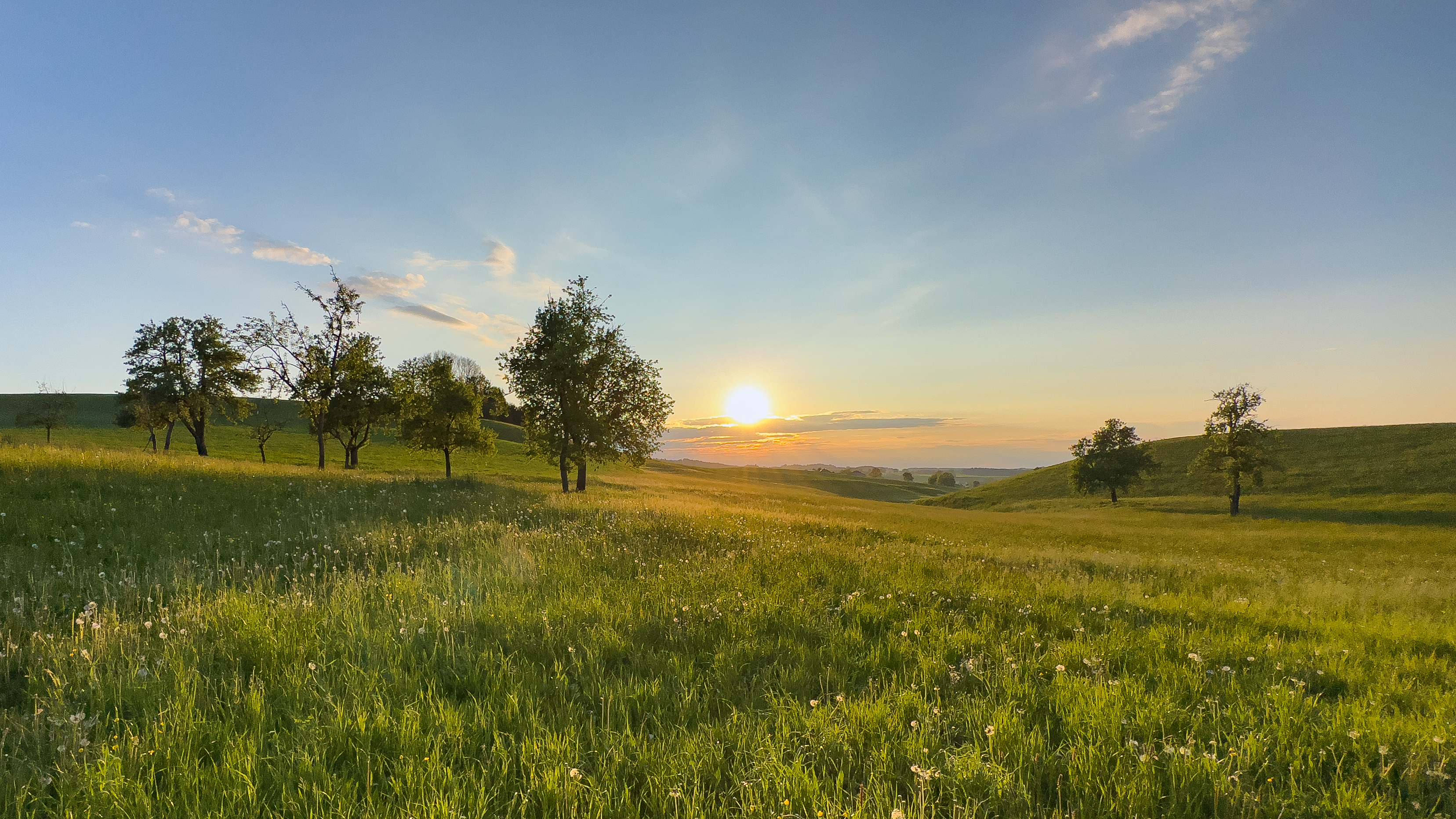 Abendstimmung in der Umgebung des Kraftplatz Waldzell