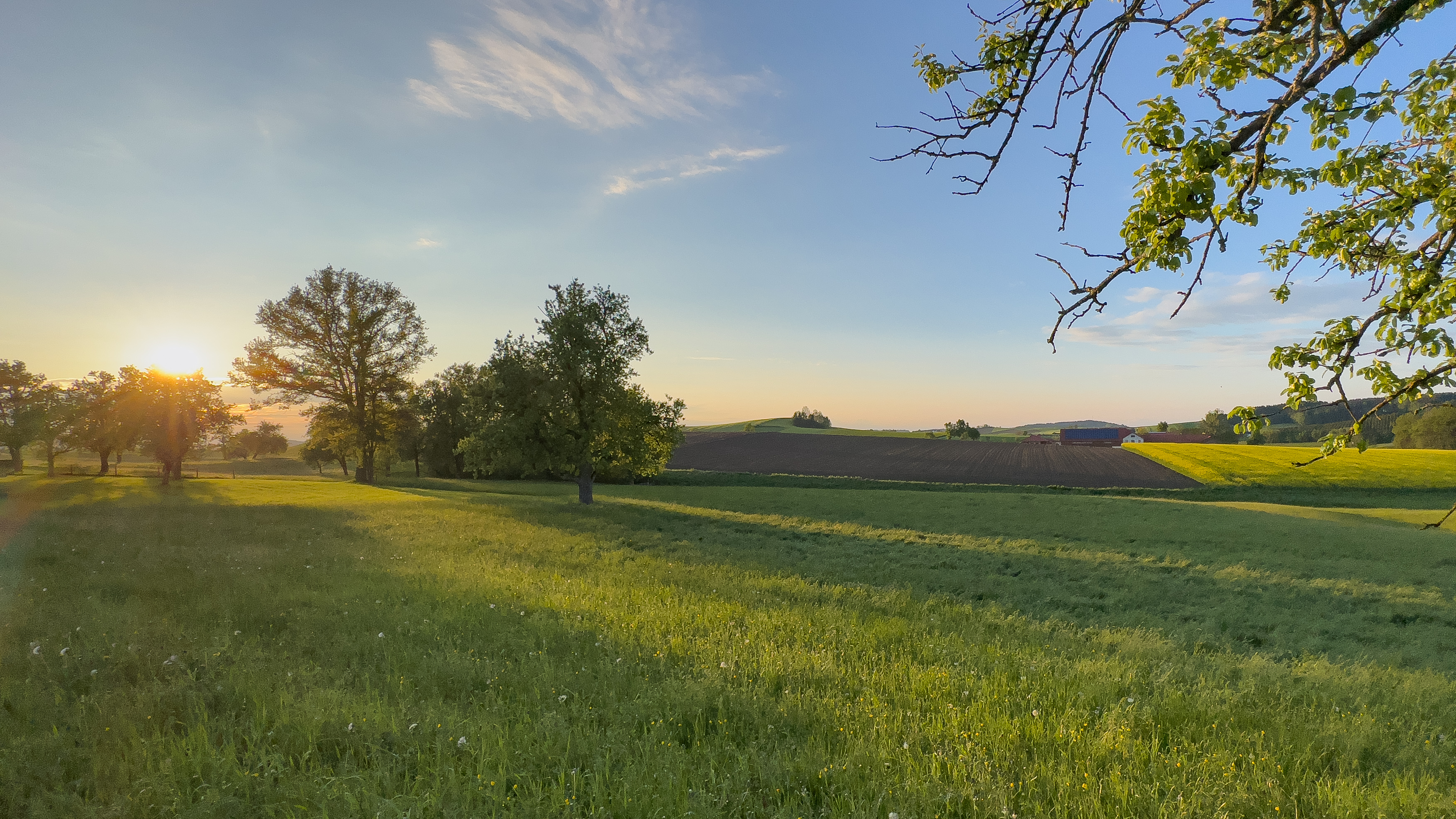 Landschaft rund um den Kraftplatz Waldzell im Innviertel